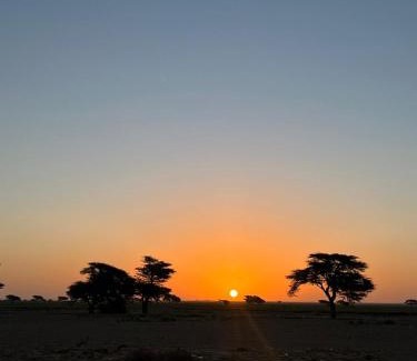 Foum Zguid Bed & Breakfast | visit bab sahara iriki