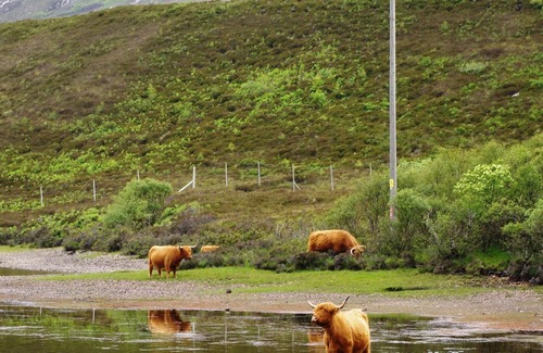 Talmine Cottage | Visit our cosy, traditional crofter's cottage, for the most relaxing holiday