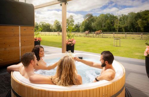 Johnstown Hotel | voco The Club - Dublin Gateway by IHG