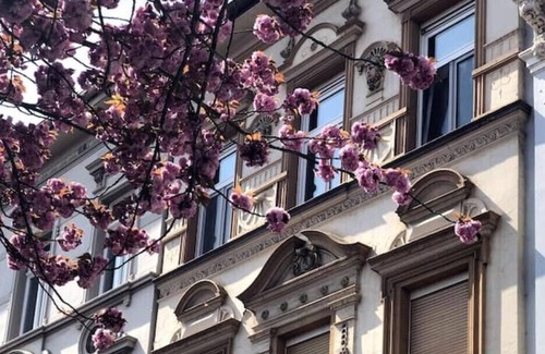 Krefeld Apartment | Vrbo Property