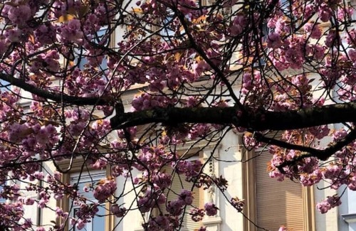 Krefeld Apartment | Vrbo Property