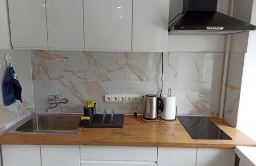 Druskininkai Apartment | Vytekstos Apartamentai