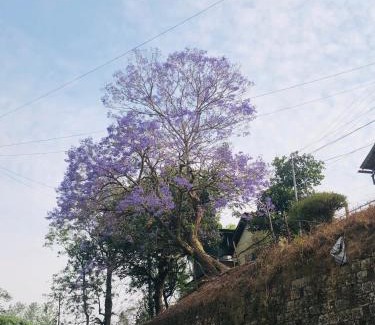 Aizawl House | W-26 Dawrpui