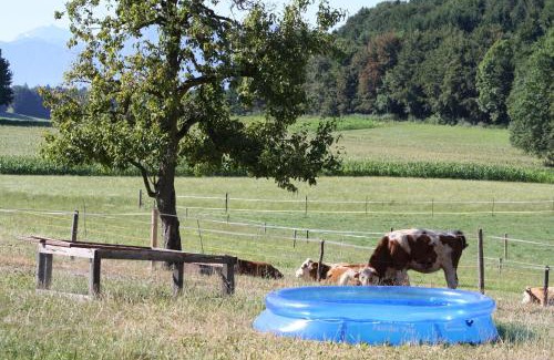 Kirchanschoring House | Wagnerhof