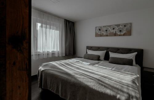 Frauenwald Apartment | Waldhotel Rennsteighöhe