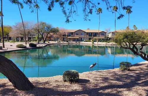 Superstition Springs Condo | Walk to golf and dining from this first floor Superstition Lakes condo near pool