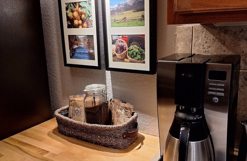 Telluride Condo | WALK TO LIFTS/RESTAURANTS/SHOPS/LISTEN TO THE STREAM/WATCH SKIERS FROM YOUR KIT.