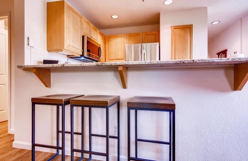 Steamboat Springs Condo | Walk to Ski, Mountain View Condo, Walk to Ski Resort - #1003