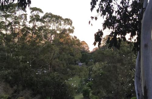 North Maleny House | Wallaby 3-Bedroom at On Burgum Pond Cottages