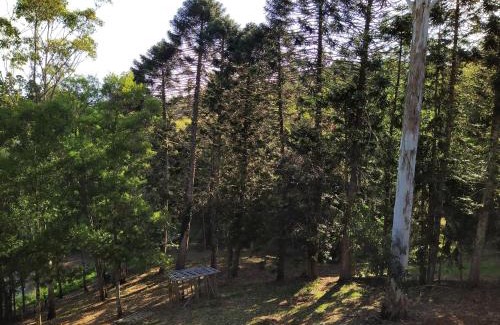 North Maleny House | Wallaby 3-Bedroom at On Burgum Pond Cottages