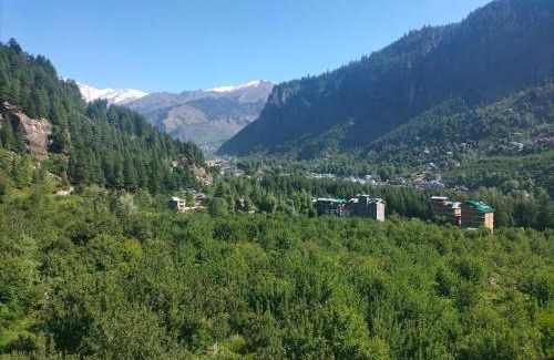 Old Manali Hotel | Wander Nest Manali Luxurious rooms with mountain peaks and waterfall view