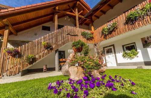 Pabneukirchen Hotel | Wanderreithof Heimelsteiner