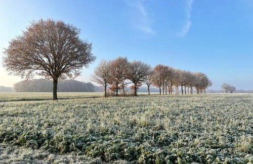 Exloo Hotel | Wapen van Exloo