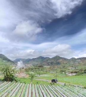 Dieng Kulon House | Warm kabin dieng