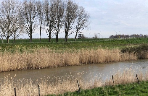 Ooltgensplaat House | Water Villa in Ooltgensplaat Near Volkerak
