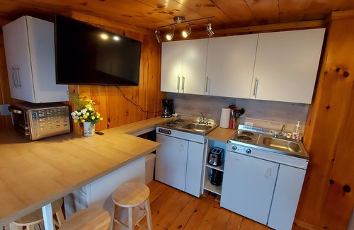 Combermere Condo | WaterFront 2 Bdrm, 2 Bath Cottage Suite with Beach, Dock, Firepit, BBQ, Deck