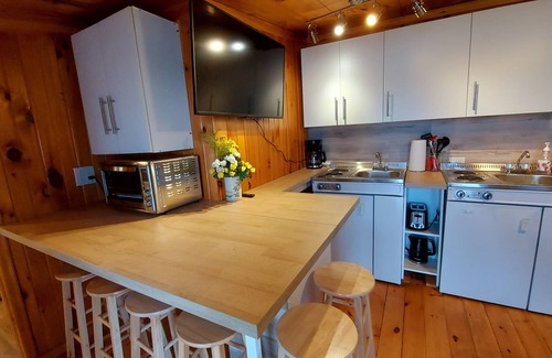 Combermere Condo | WaterFront 2 Bdrm, 2 Bath Cottage Suite with Beach, Dock, Firepit, BBQ, Deck