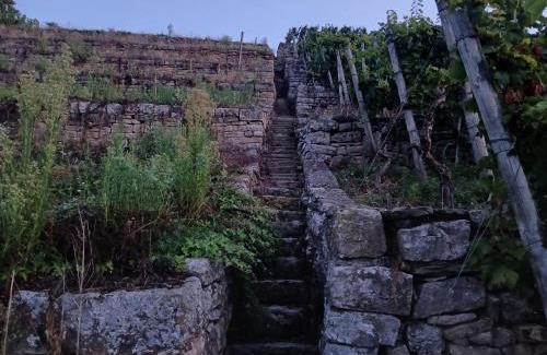 Kirchheim am Neckar Apartment | Weinbergblick