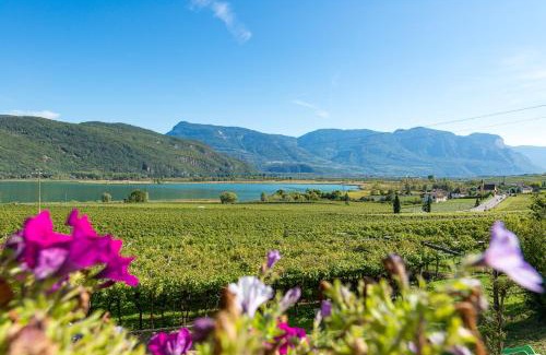 Seestrasse Apartment | Weinhof am See