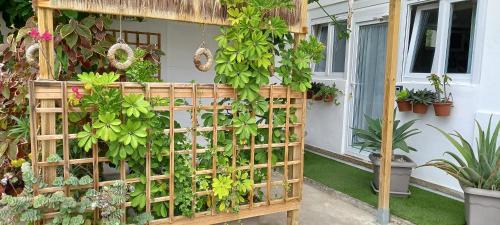 Garachico Apartment | WELCOME