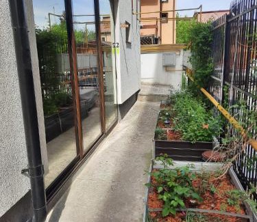 Pitesti Apartment | Welcome!