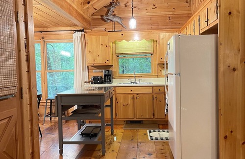 Hidden Lake House | Welcome to Bearadise! Charming cabin 10 minutes to downtown Blue Ridge!