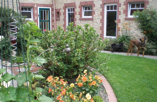 Rosendahl Apartment | Welcome to the apartments of the Wissing family. Gladly with your dog