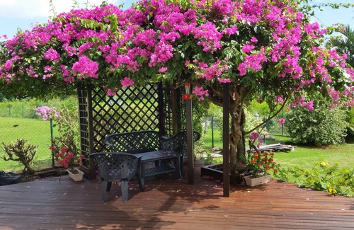 Baie-Mahault Villa | Welcome to the paradise of Do!