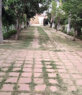 Patiala Villa | Well built bungalow guest house