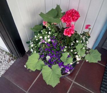 Meschede House | WenneGlück