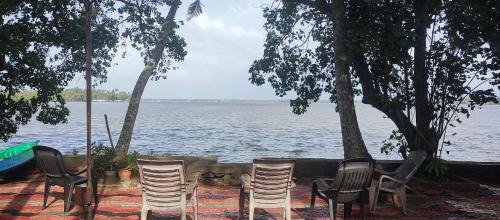 Kumbalangi House | West Wind Homez - Home Stay