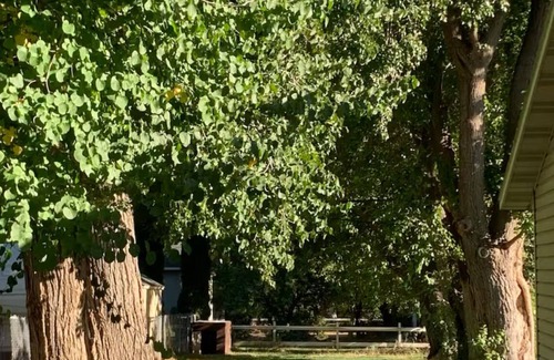 Leeds House | Western Farm Retreat 3 bedroom house in Leeds Utah, WiFi, AC, large backyard