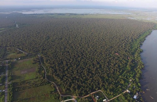 Khao Chaison House | wetlandcamp บ้านชายเล