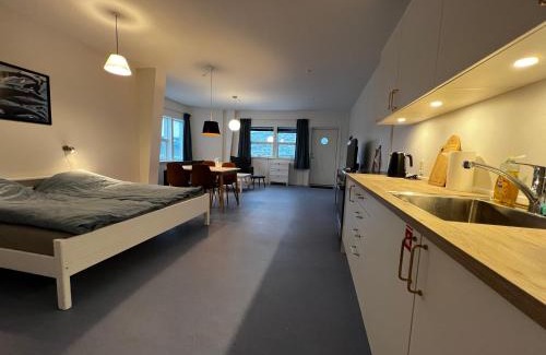 Ilulissat Apartment | Whaletours Apartments nr 1