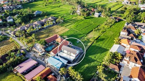 Peliatan House | White Blue House 1 - Pvt Room, Shared Pool&Kitchen