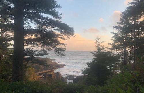 Ucluelet Apartment | WHITE HAUS nested in Rainforest close to beach and trail