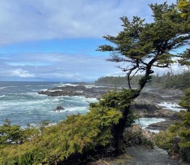 Ucluelet Apartment | WHITE HAUS nested in Rainforest close to beach and trail