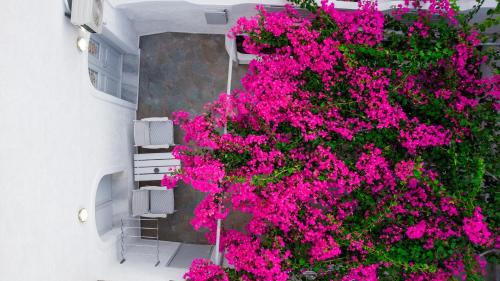 Vothon House | White Haven Cave Home