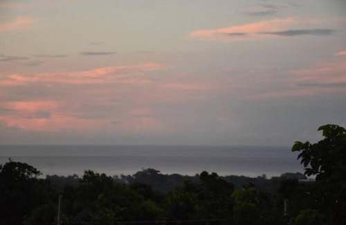 Ocho Rios Apartment | White River Apartment 9, Great Pond- Ocho Rios