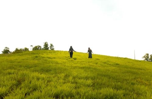 Vagamon Resort | White Stone Vagamon Hilltop Cottage by VOYE HOMES