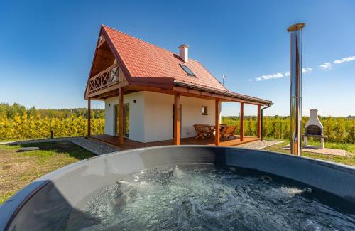 Dabrowno House | Wichrowe Wzgórze Chill House Jabłonowo
