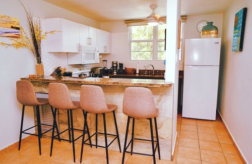 Zarzal Apartment | Wide Secluded Beach. Pool. Rainforest. Bio Bay. Golf. Gated. No Cleaning Fee.