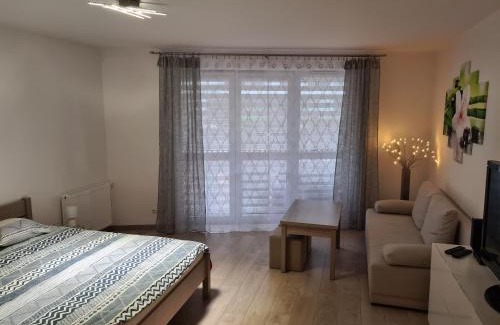 Biezanow - Prokocim Apartment | Wielicka Apartment