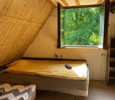 Czernichow House | Wikingówka