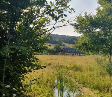 Regietow Villa | Wilcza Dolina