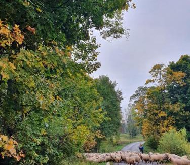 Regietow Villa | Wilcza Dolina