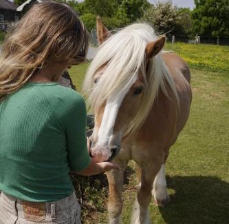 Kinvara Other | Wild Cabins Kinvara