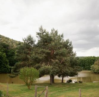 Nagycsepely Apartment | Wild&Free Private Lake