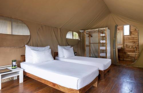 Medadumbara Other | Wild Glamping Knuckles - Thema Collection