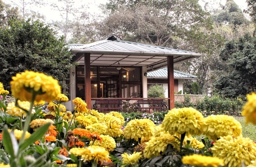 Balipara Cottage | Wild Mahseer